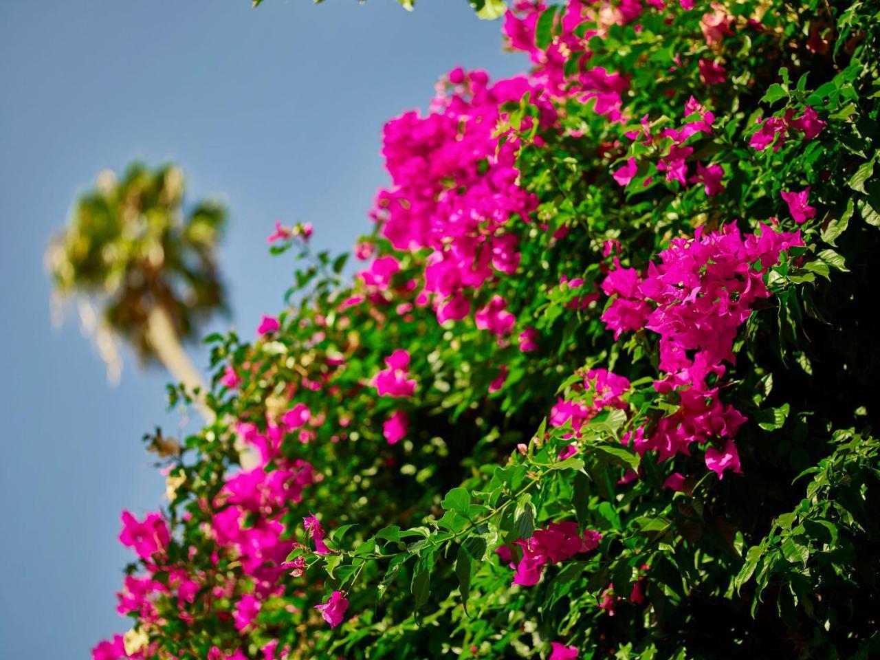 Hotel Bel-Air - Dorchester Collection Лос-Анджелес Экстерьер фото